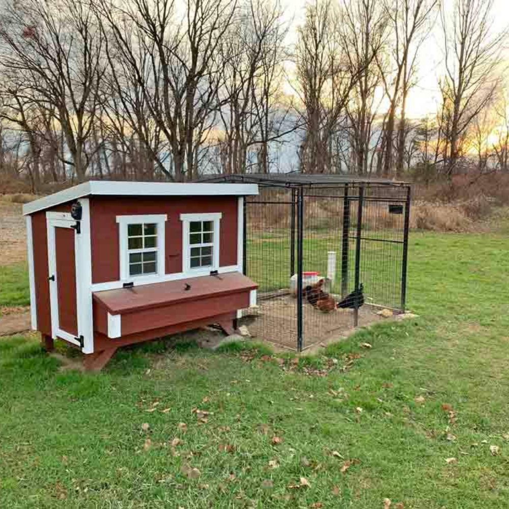 A small red and white chicken coop with a front nesting box and an attached run at sunset.