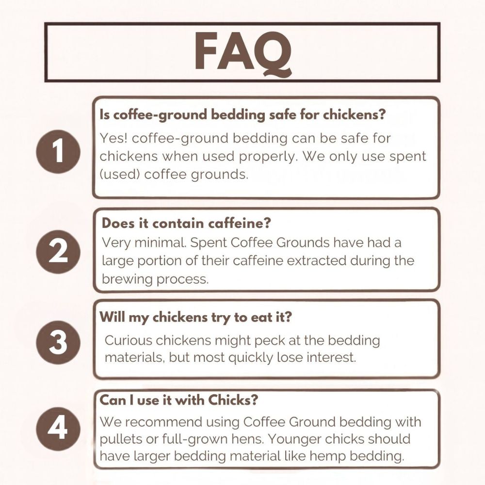 An FAQ infographic with four numbered boxes answering chicken-feeding and bedding questions on a light beige background with brown text and borders.