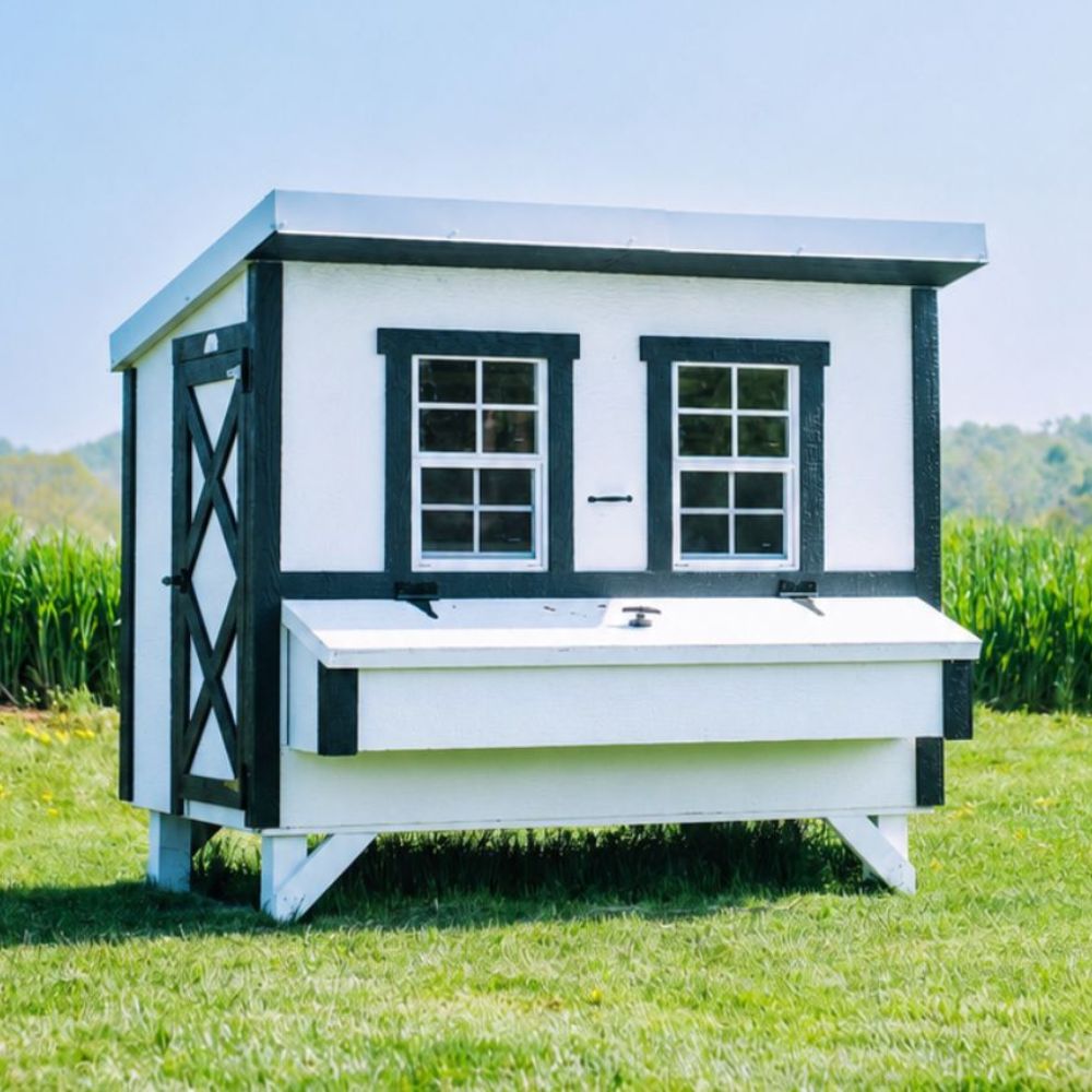 A small white chicken coop with black trim and two window panes, shown outdoors on a grassy lawn.