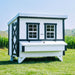 A small white chicken coop with black trim and two window panes, shown outdoors on a grassy lawn.