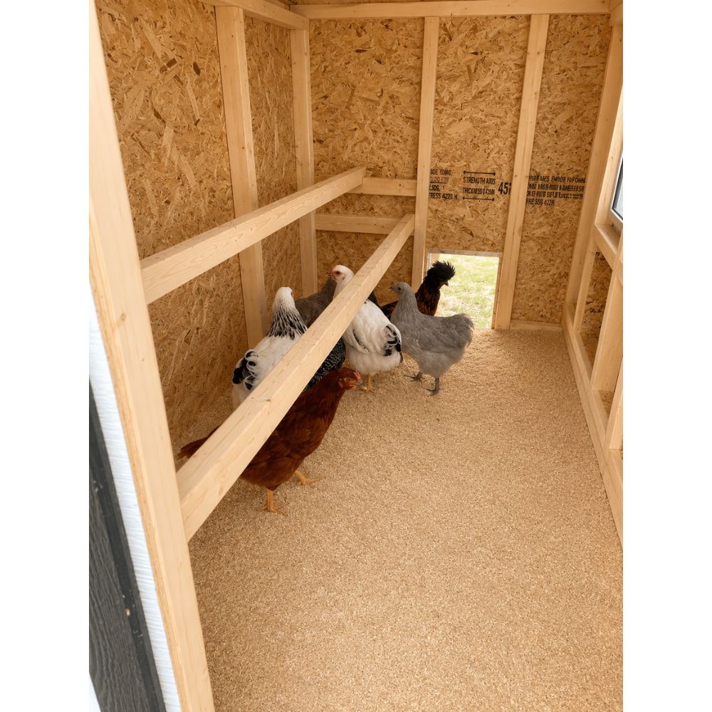 A wooden chicken coop interior with two raised roosts and 6 chickens.