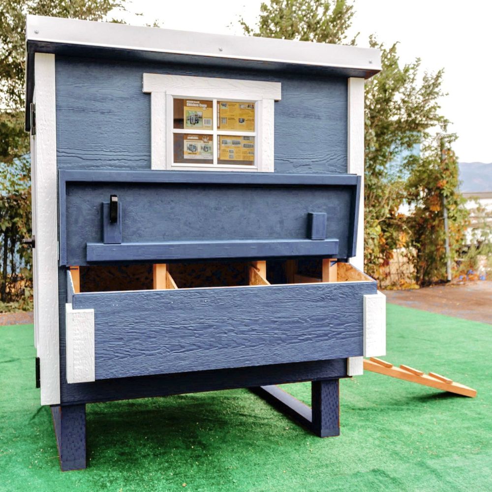Blue and white wooden chicken coop, outside, with a natural wooden ramp.