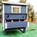 Blue and white wooden chicken coop, outside, with a natural wooden ramp.