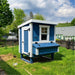 Blue and white chicken coop on a grassy area with trees and houses in the background