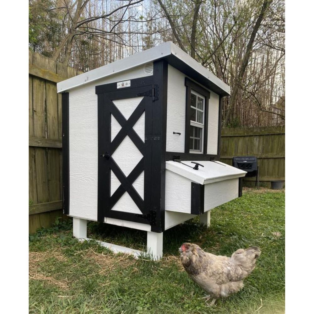 White and black chicken coop with a chicken in front, set against a natural background.