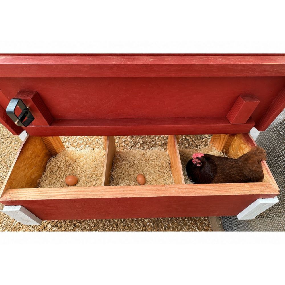 Top down view into the nesting box of the classic coop with a chicken and two eggs.
