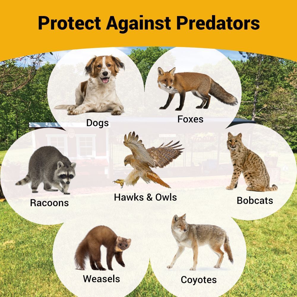 Diagram showing it protects against predators with images of dogs, foxes, raccoons, hawks, bobcats, weasels, and coyotes.