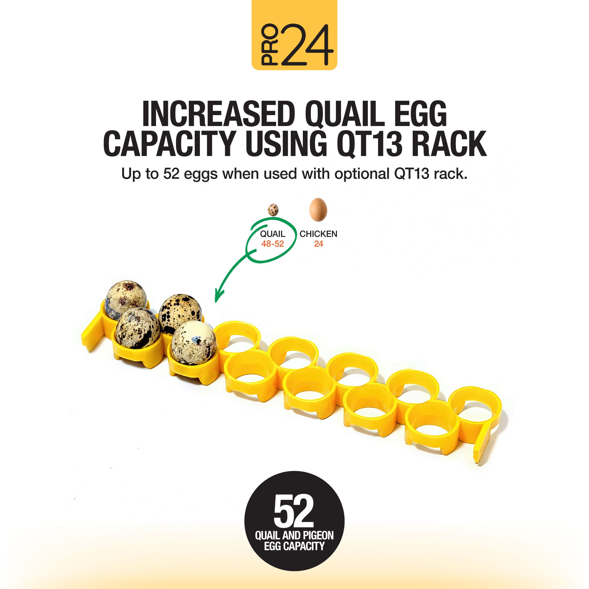 Hatching Time Pro24 Tabletop Automatic Egg Incubator - 24 Eggs