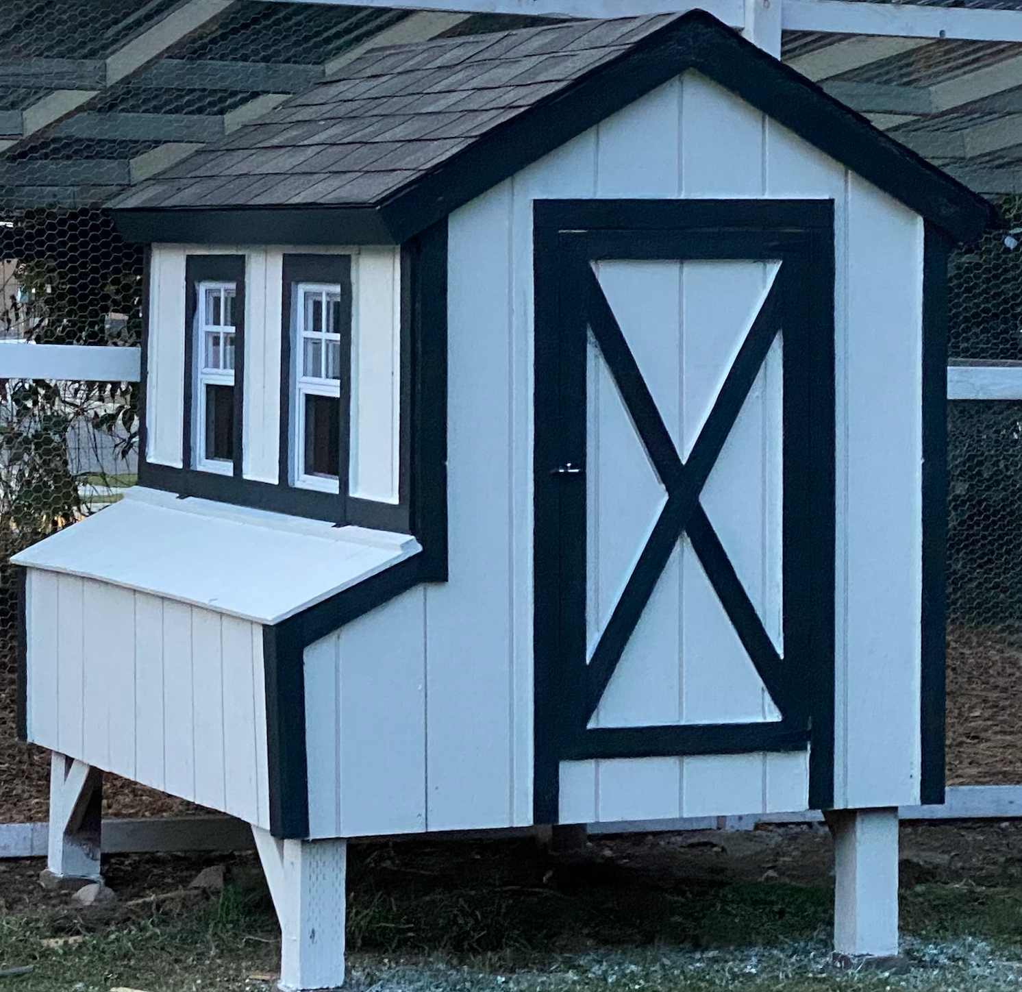Large Chicken Coop Plans