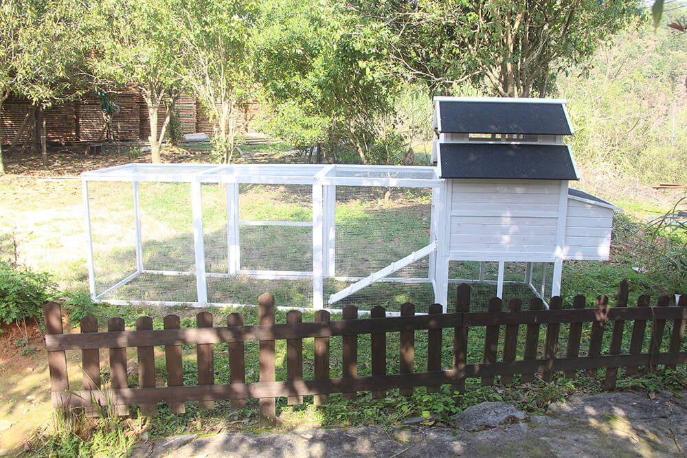 The Homestead House and Run
