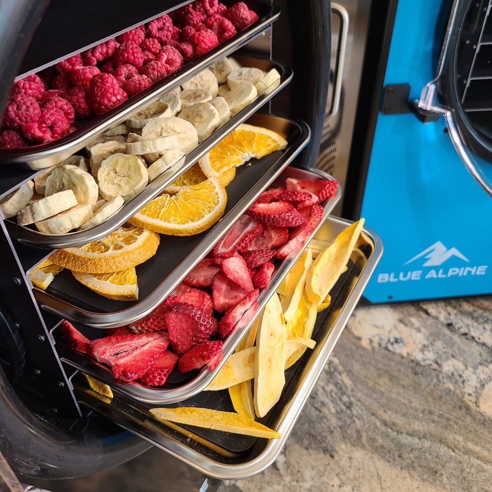 Blue Alpine freeze dryer with an open door showing five trays filled with raspberries, oranges, bananas, strawberries, and mango.