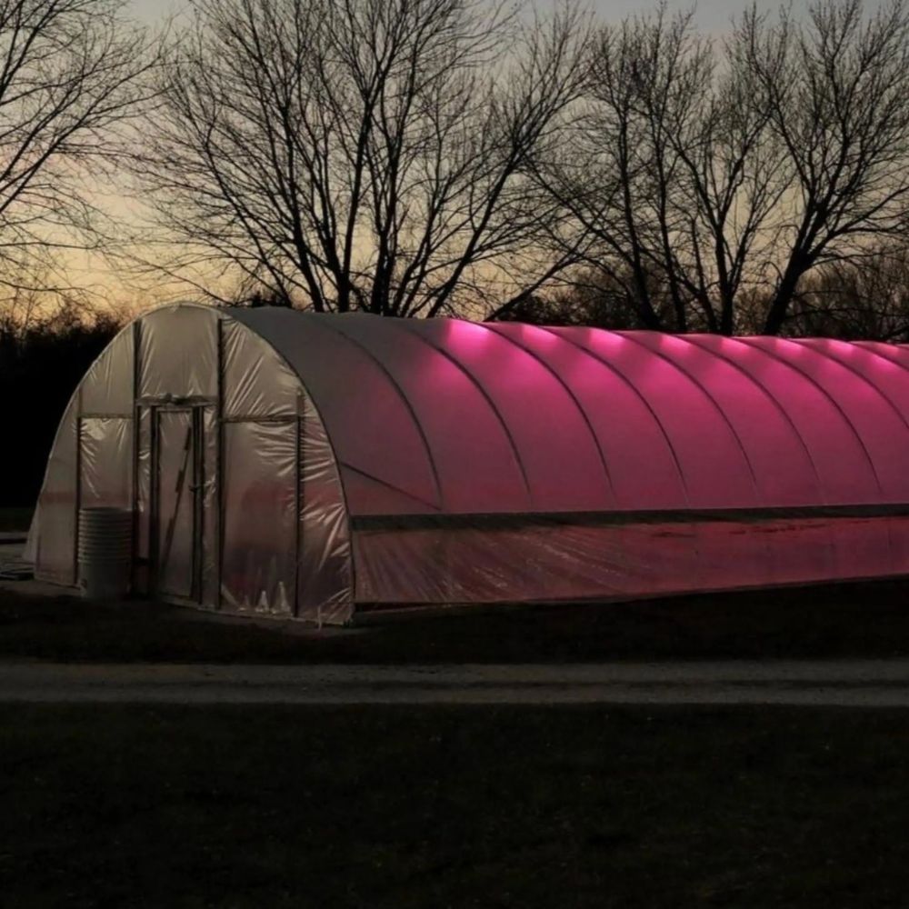 Bootstrap Farmer 10' Wide DIY Greenhouse just after sunset showing red lights inside.