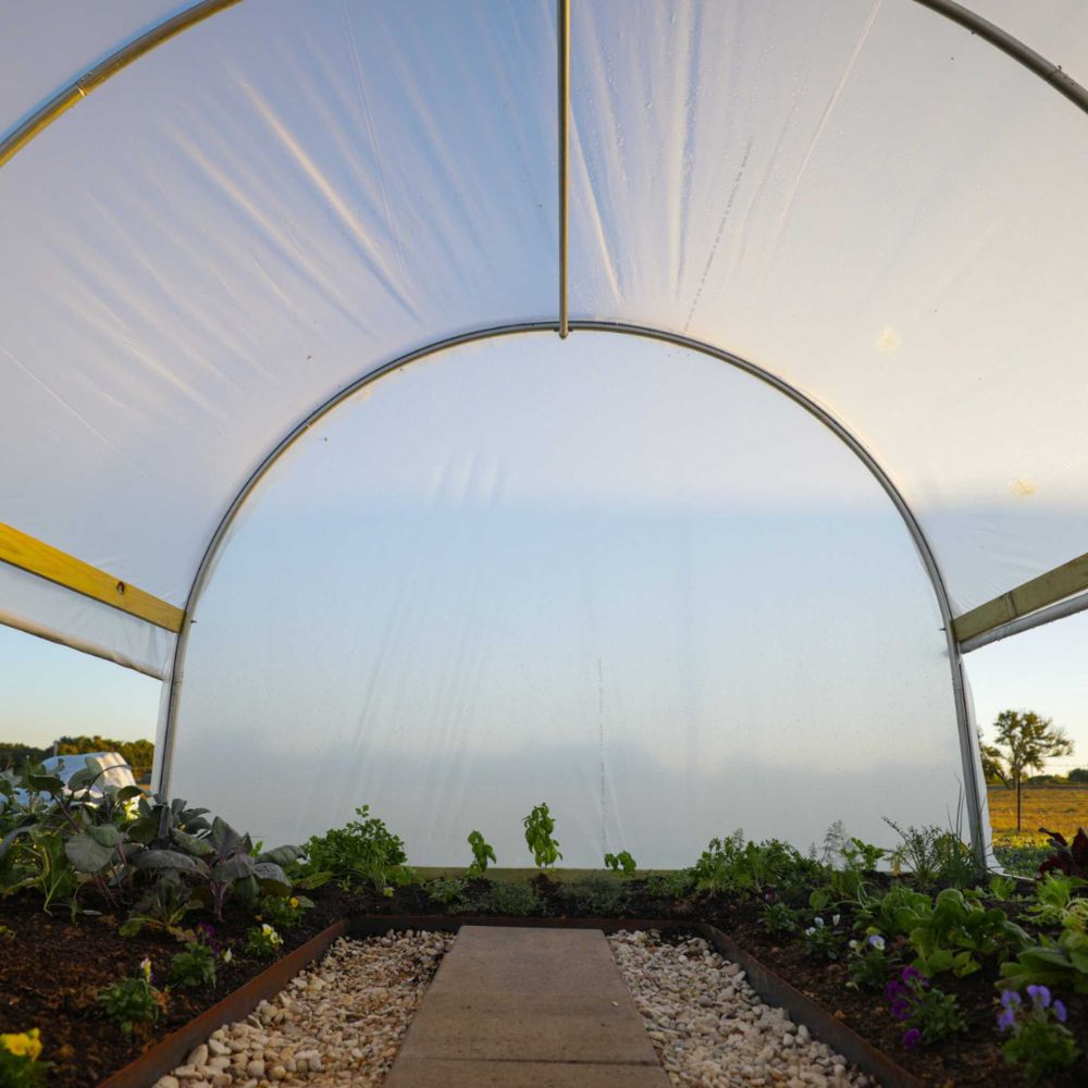 Interior of Bootstrap Farmer 10' x 12' Hobby Greenhouse with roll-up sides open for ventilation