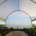 Interior of Bootstrap Farmer 10' x 12' Hobby Greenhouse with roll-up sides open for ventilation