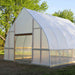 Front and side view of the completed Bootstrap Farmer DIY Gothic Greenhouse showing the peaked Gothic roof and greenhouse entrance