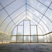 Interior view of the Bootstrap Farmer DIY Gothic Greenhouse showing the tall Gothic arch frame and interior headroom