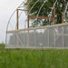 Bootstrap Farmer DIY Gothic Greenhouse during construction showing the metal arch frame, wood framing, and partially installed greenhouse covering