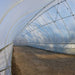 Angled view of the interior of the Bootstrap Farmer Gothic High Tunnel showing a single door.
