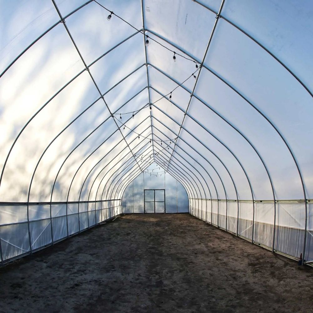 Interior view of the Bootstrap Farmer Gothic High Tunnel looking down the middle with tree shadows on the top.