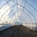 Interior view of the Bootstrap Farmer Gothic High Tunnel looking down the middle with tree shadows on the top.