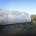 Outside view of the back half of the Bootstrap Farmer Gothic High Tunnel with the sides rolled up.