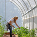 A woman tending plants in the Bootstrap Farmer Gothic High Tunnel.
