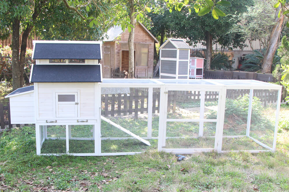 The Homestead House and Run