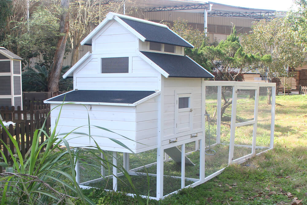 The Homestead House and Run