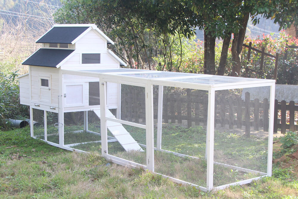 The Homestead House and Run