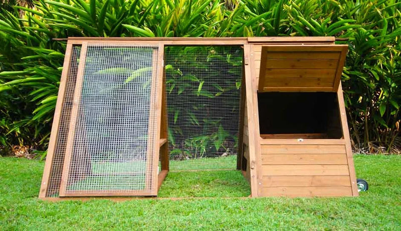 The Cluck House
