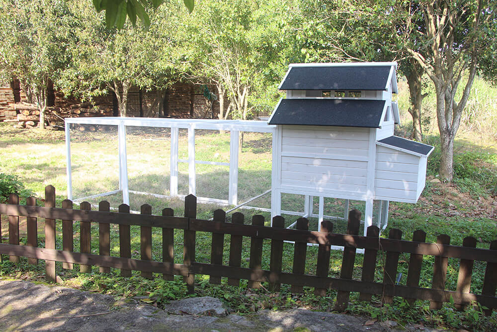 The Homestead House and Run