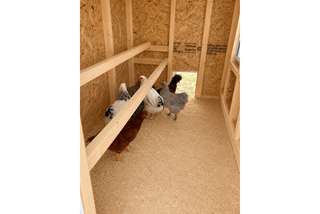 Large Chicken Coop - Up to 15 Chickens