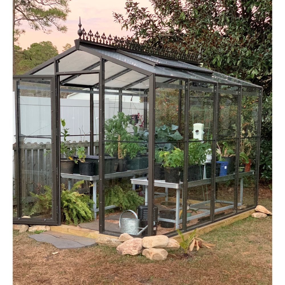 Janco Palmetto 8' x 10' glass greenhouse with bronze aluminum frame and plants inside.