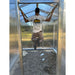 Interior view of Janco Palmetto greenhouse with aluminum framing and polycarbonate panels during installation