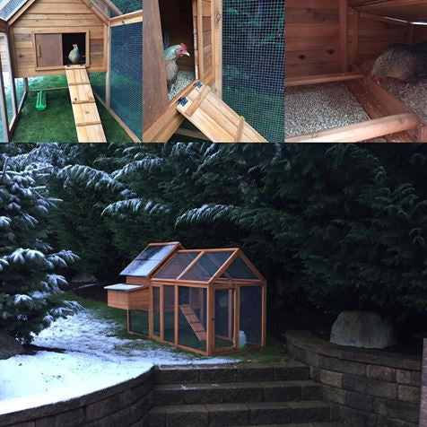 KONA COOP for 6-8 Hens