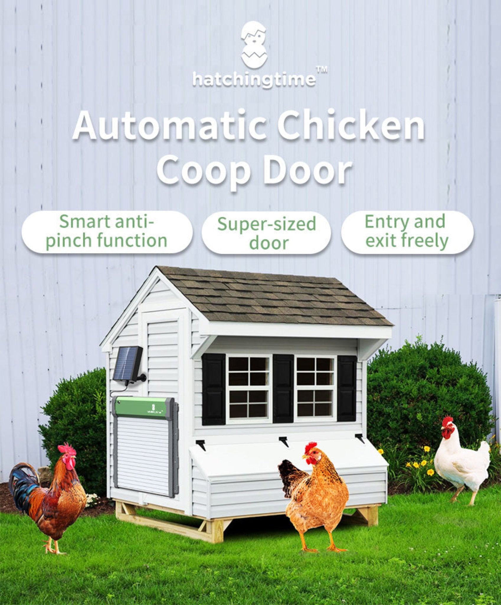 Hatching Time Sungate Solar Powered Automatic Chicken Coop Door with Remote