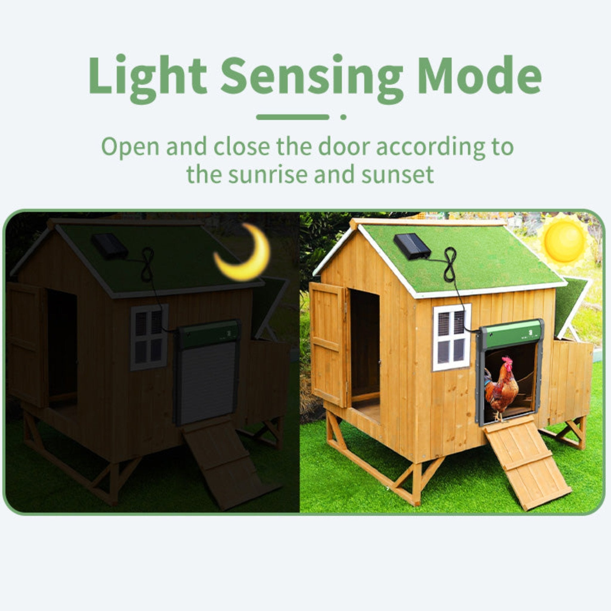 Hatching Time Sungate Solar Powered Automatic Chicken Coop Door with Remote