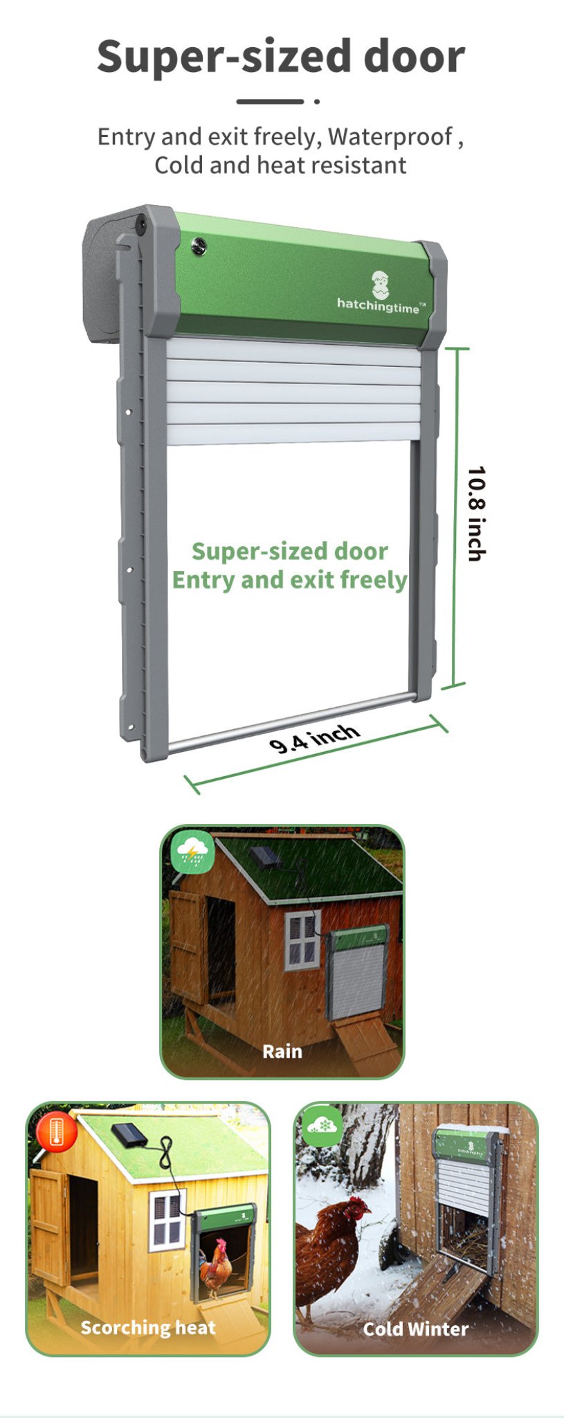 Hatching Time Sungate Solar Powered Automatic Chicken Coop Door with Remote