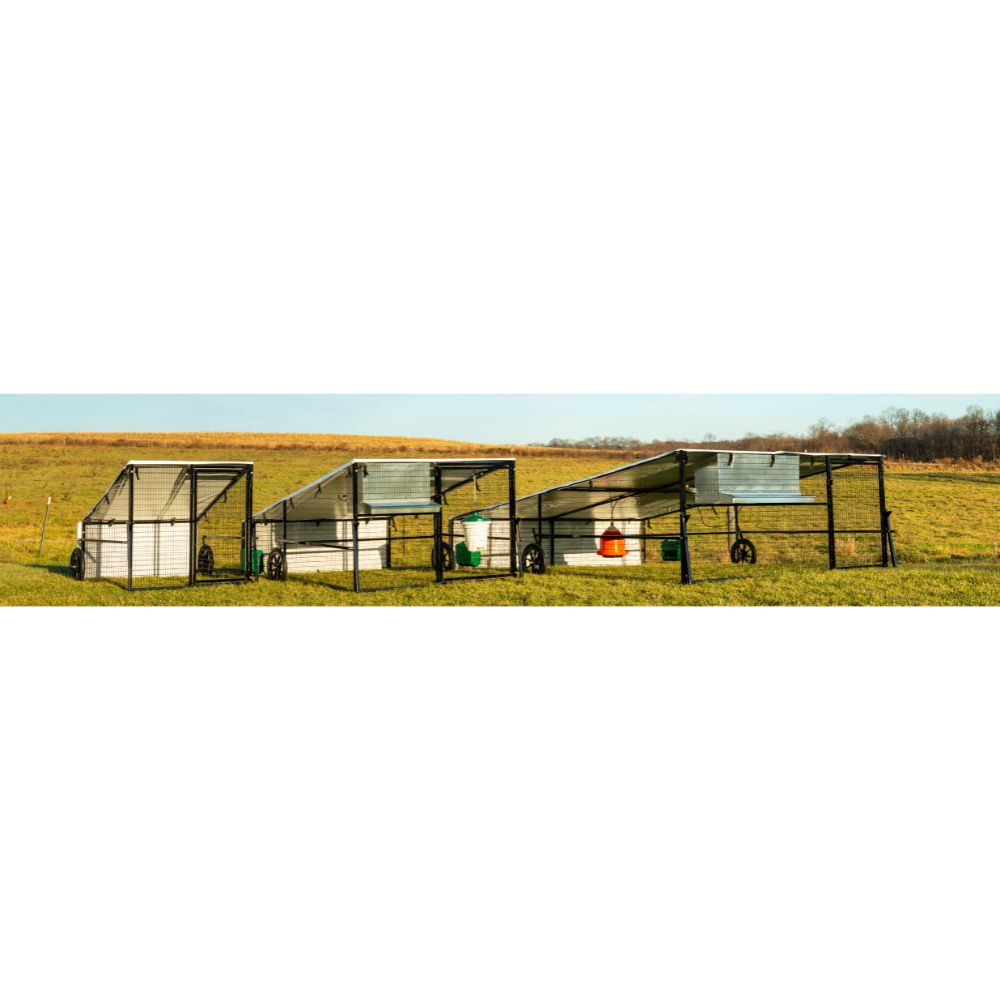 Porta Coop Haven mobile chicken coops in 4' x 5', 6' x 8', and 10' x 12' sizes