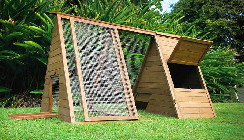 The Cluck House